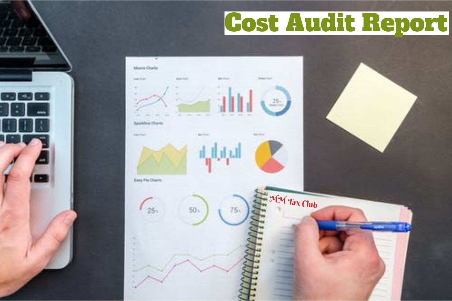 Cost Audit Report _ mmtaxclub